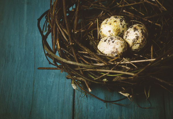 Eggs in Nest - Foto, Imagem