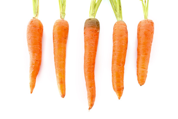 Carrots isolated on white - Foto, afbeelding