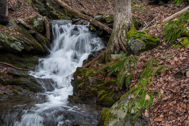 Um pequeno riacho fluindo e cachoeiras no Taconic State Park, Rudd Pond, em Millerton New York. - Foto, Imagem