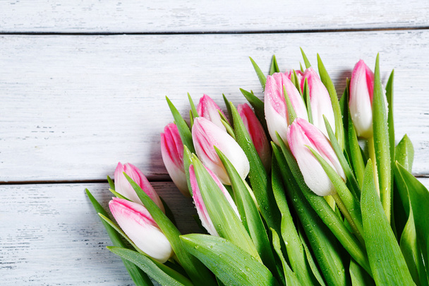spring tulips on white boards - Fotoğraf, Görsel