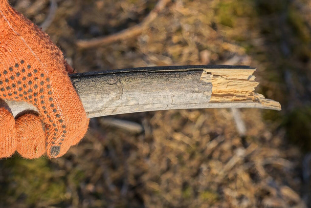 рука в оранжевой рабочей перчатке держит кусок серой деревянной палки на улице на коричневом фоне - Фото, изображение