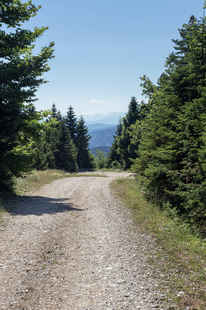 Vista de montanhas, floresta de abeto e caminho a pé em um dia ensolarado de verão (montanha South Pindos, Grécia) - Foto, Imagem
