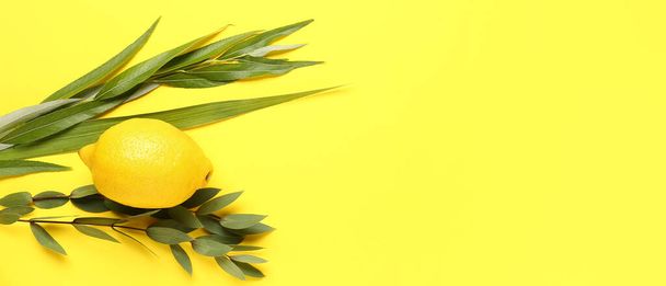 Four species (lulav, hadas, arava, etrog) as Sukkot festival symbols on yellow background with space for text - Photo, Image