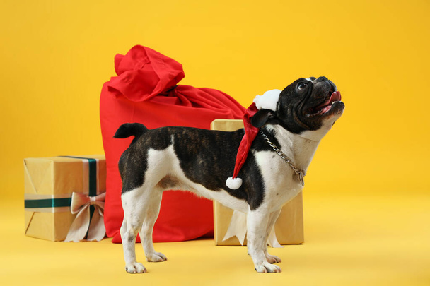 Lindo bulldog francés en Santa sombrero con bolsa de regalos de Navidad sobre fondo amarillo - Foto, imagen