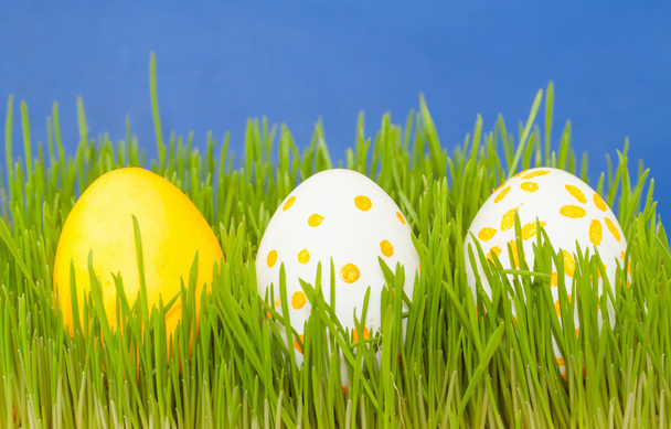 tři barevné velikonoční vejce v trávě - Fotografie, Obrázek