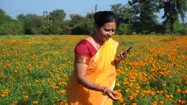 Happy Indian woman in marigold field. - Footage, Video