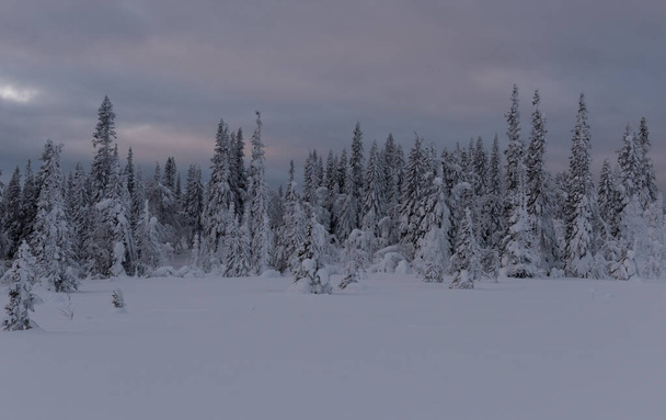 Friss hóesés egy kora reggel Svédországban - Fotó, kép