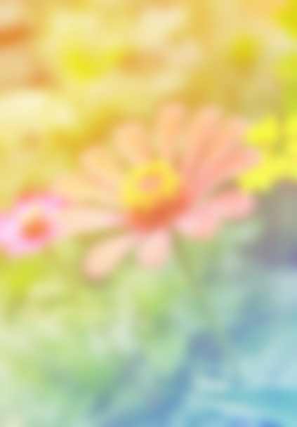 Fondo de flores coloridas borrosas
 - Foto, imagen