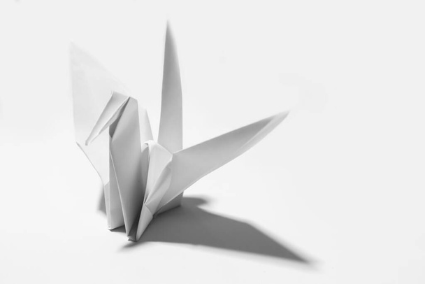 Λευκό χάρτινο πουλί origami σε λευκό φόντο - Φωτογραφία, εικόνα