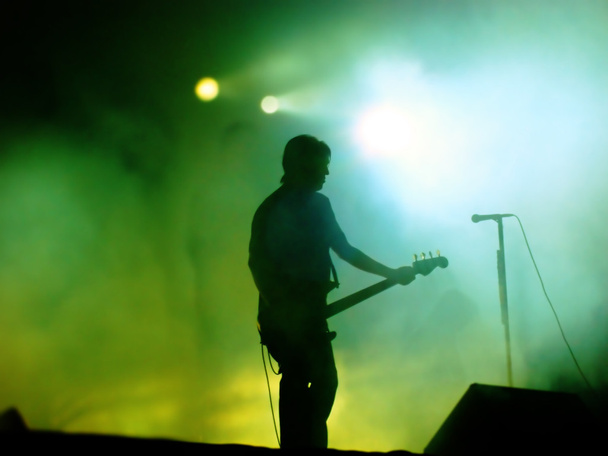 Guitarist On Stage - Valokuva, kuva