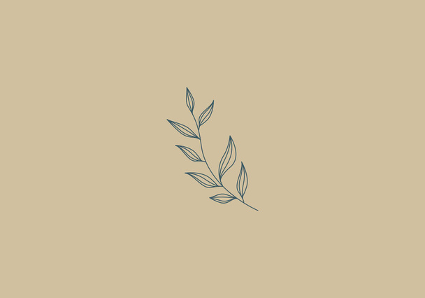 Logo Line Floral Leaf und Botanical. Ästhetisch und feminin, schlichte Linie und Luxus modern. editierbare Farbe. - Vektor, Bild
