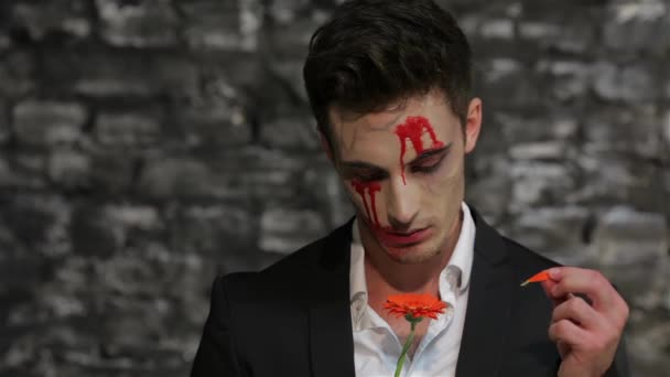 男性の吸血鬼は、花びらを引き裂く運勢を伝えます。レンガの壁の黒い背景にポーズ吸血鬼のイメージの男。ハロウィーンのコンセプトと衣装 - 映像、動画