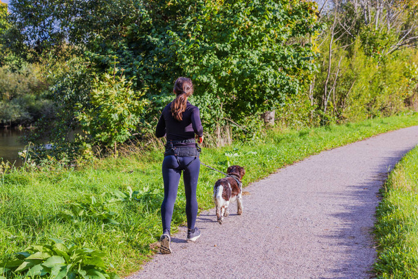 Pohled na mladou dívku se psem běžícím po silnici v parku na slunný podzimní den. Aktivní sporty. Švédsko. - Fotografie, Obrázek