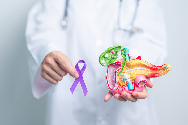 Médecin tenant un ruban violet avec modèle de pancréas humain pour le soutien Cancer du pancréas Novembre mois de sensibilisation, pancréatite, système digestif, Journée mondiale du cancer et concept de santé - Photo, image