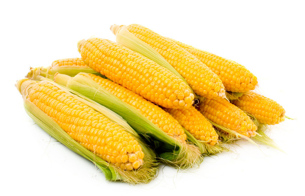 Few corn isolated on white - Zdjęcie, obraz