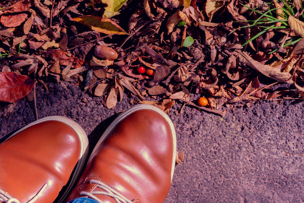 Herfst bladeren, benen en bruine schoenen. Conceptuele najaarscompositie. Voeten schoenen wandelen in het herfstbos. Het concept van blad vallen - Foto, afbeelding