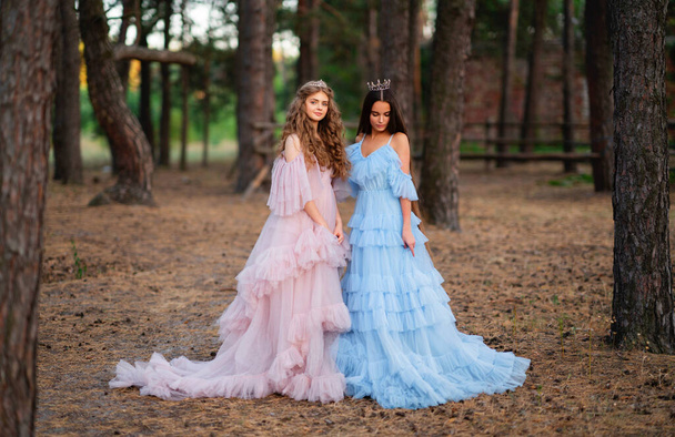 Twee mooie tienermeisjes in lange glamour roze en blauwe jurken en kronen poseren in de buurt van grijs paard in dennenbos. Sprookje warm verhaal over prinsessen - Foto, afbeelding