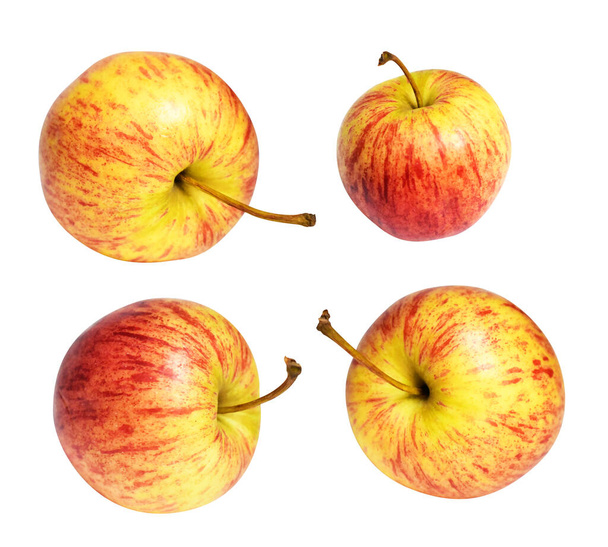 Vörös Gála alma elszigetelt nyírás út, nincs árnyék fehér háttérben, friss gyümölcs - Fotó, kép