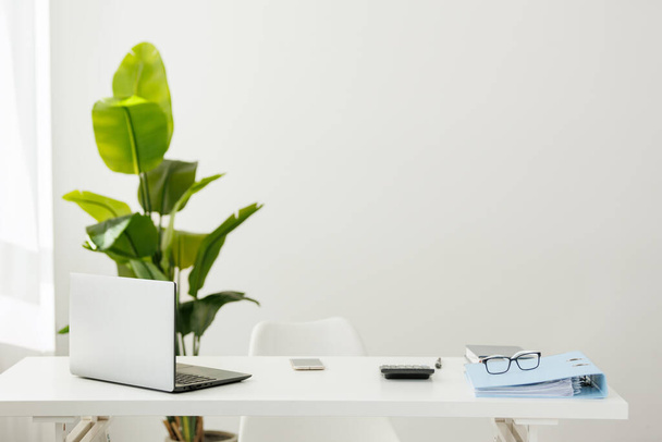 Business concept. Light work place of accountant at office with desk table, laptop, financial documents folder calculator, eyeglasses, smartphone, pen and big green houseplant. Copy space on wall. - Photo, Image