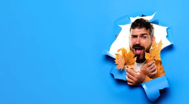 Autumnal mood. Happy bearded man in autumn wear with fall leaves looking through paper hole. Autumn fashion for men. Autumn clothes collection. Autumn shopping. Season sale. Copy space. Advertising - Photo, Image