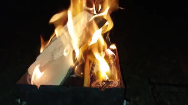 Вогонь горить в барбекю вночі - Кадри, відео