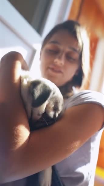 Un cachorro de pug es acurrucado por una encantadora joven mientras se sienta en el suelo en una habitación. Imágenes de alta calidad 4k - Imágenes, Vídeo