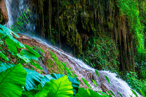 Phu Sang waterfall in Phayao province, Thailand. - Fotografie, Obrázek