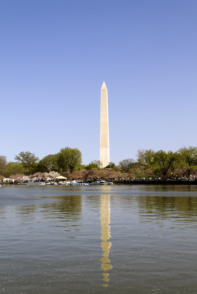 Washington Monument ja vuorovesialue
 - Valokuva, kuva