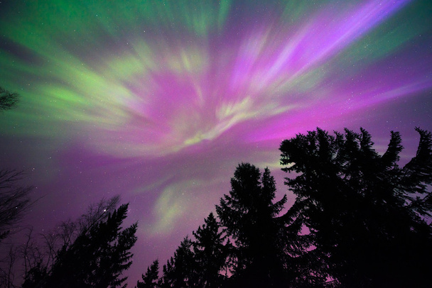 Luzes coloridas do norte
 - Foto, Imagem