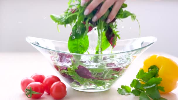 A woman chef in a striped apron is is tearing freshly washed, fresh, clean leaves of lettuce into a separate glass bowl. She is located in a rustic style kitchen. High quality photo - Metraje, vídeo
