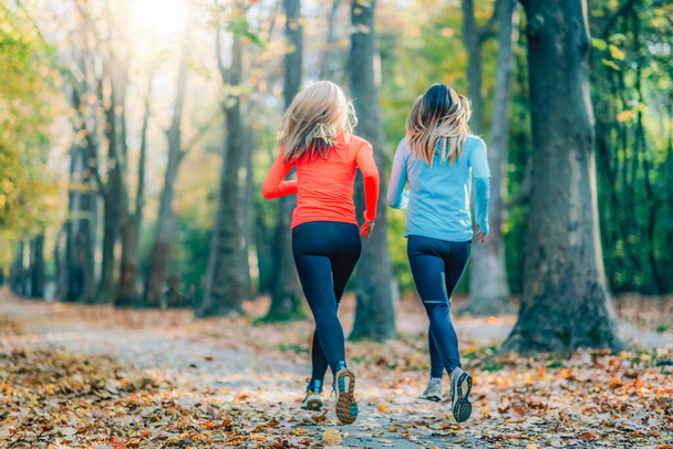 Friends Jogging outdoors, Public Park in Autumn. Rear view - Photo, Image