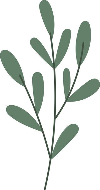 Hierbas hojas Rama Vector Ilustración - Vector, Imagen
