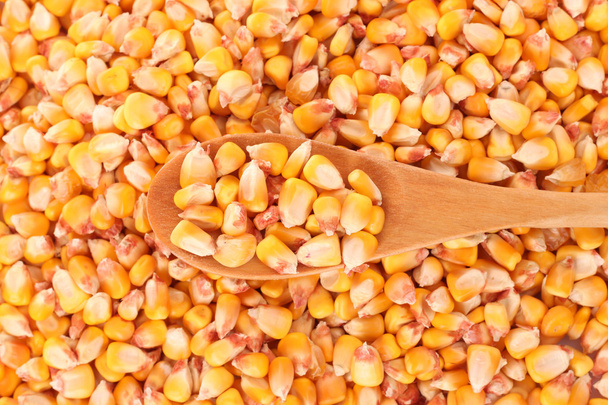 Corn and wooden spoon - Zdjęcie, obraz