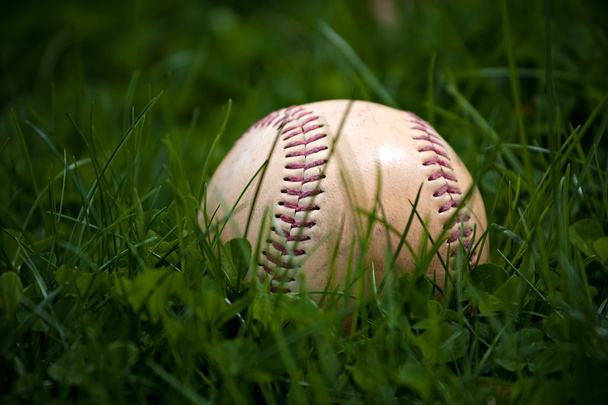 Beisebol velho na grama
 - Foto, Imagem