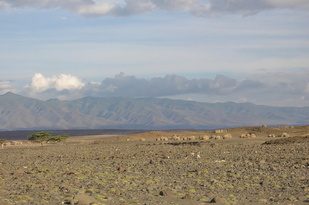 Powierzchnia pustyni w pobliżu jeziora Turkana w Kenii. - Zdjęcie, obraz