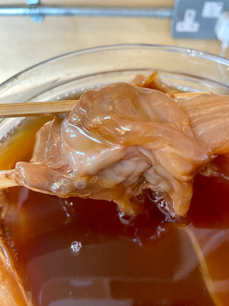 Schorf oder Pilz für Kombucha im Glas. Scoby Tea Pilz, um den Fermentationsprozess zu beginnen, um Kombucha, diätetisches Bio-Superfood, gesunden fermentierten Tee herzustellen - Foto, Bild