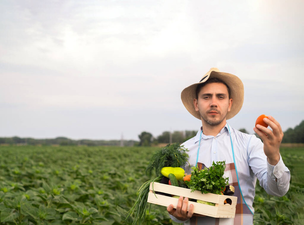 バスケットに新鮮な野菜を持って幸せな若い農夫の肖像画。自然生物、バイオ製品、バイオ エコロジー、健康的なサラダ、ベジタリアン自身の手によって成長の概念の背景に - 写真・画像