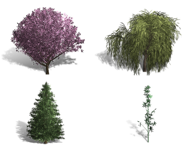 visszaadás-ból négy különböző fajta fák - Fotó, kép