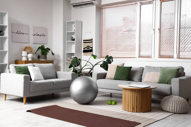 Sisätilojen olohuone sohvat ja fitball - Valokuva, kuva