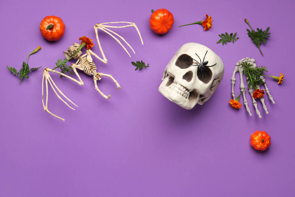 Composition Halloween avec crâne, squelette, citrouilles et fleurs de souci sur fond violet - Photo, image