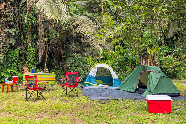 Kemp v tropickém lese se dvěma stany, židlemi, piknikovým stolem, jídlem a pitím a chladničkou - Fotografie, Obrázek