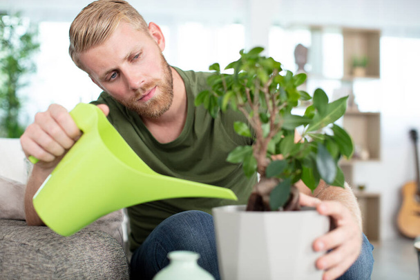 man taking care of plants at home - Photo, Image