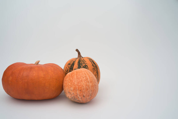 Kolme suurta oranssi Halloween kurpitsat valkoisella taustalla - Valokuva, kuva