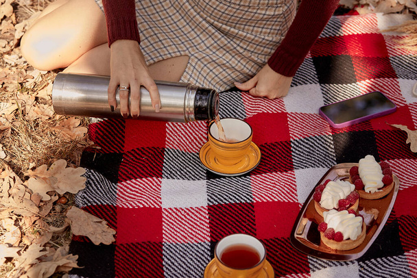 Kadın çay dolduruyor. Parkta tartlarla piknik yapmak, ekoseli çay içmek. Sıcak sonbahar kahvaltısı. - Fotoğraf, Görsel