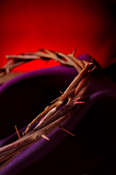 терновий вінець Ісуса Христа - Фото, зображення