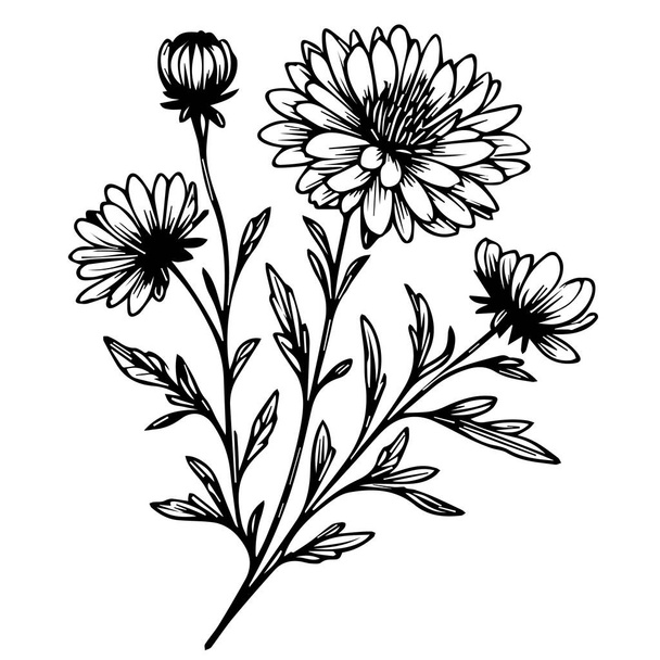 czarny aster tatuaż, mały czarny aster tatuaż, aster kwiat rysunek, aster kwiat rysunek tatuaż, rysunek aster wrzesień kwiat tatuaż, aster wrzesień kwiat tatuaż wektor ręcznie rysowane szkic kwiatów izolowanych na białym tle - Wektor, obraz