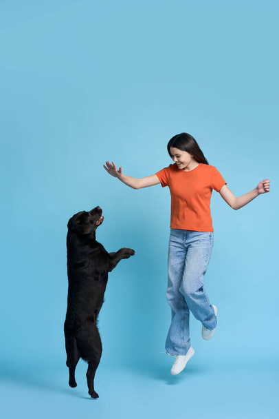 Full length studio portrait of cheerful pretty teenager girl in orange t-shirt and casual denim, jumping, having fun while playing with her pet, adorable labrador retriever on isolated blue background - Photo, Image