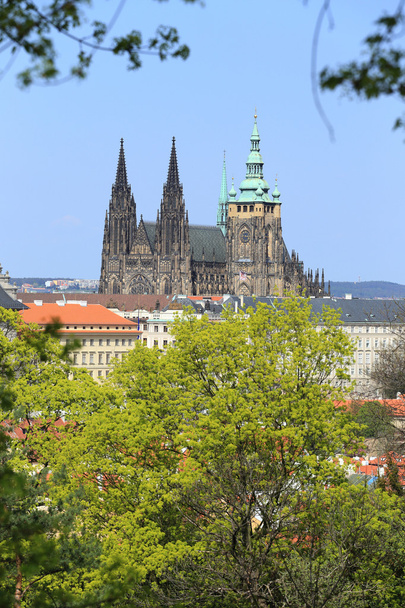 άποψη σχετικά με την άνοιξη γοτθικό κάστρο της Πράγας με το πράσινο της φύσης και τα ανθίζοντας δέντρα, Τσεχία - Φωτογραφία, εικόνα