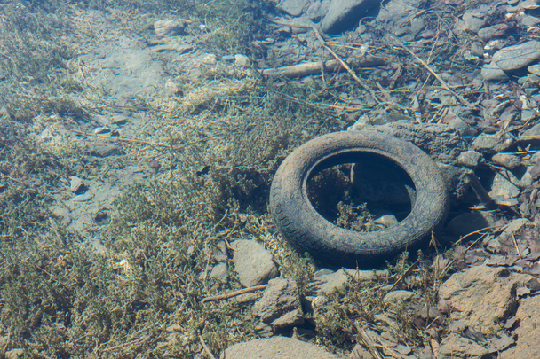 viejo neumático de coche bajo el agua clara de un lago de montaña visto de fro
 - Foto, imagen