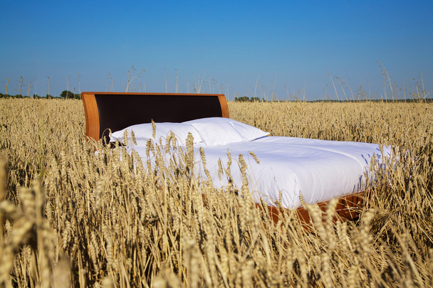 bed in a grain field- concept of good sleep - Photo, Image